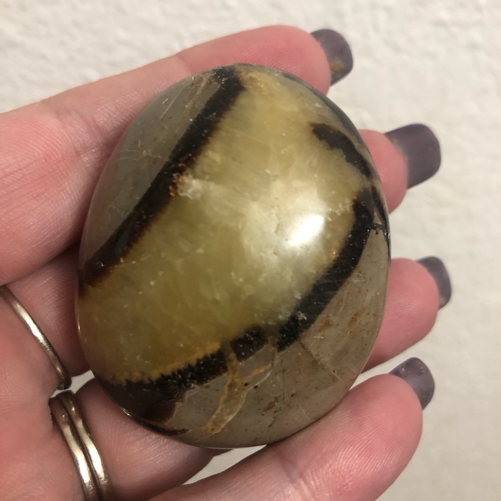 Septarian Palm Stone - Approx: 2”